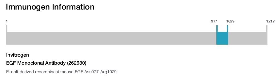 EGF Monoclonal Antibody (262930)