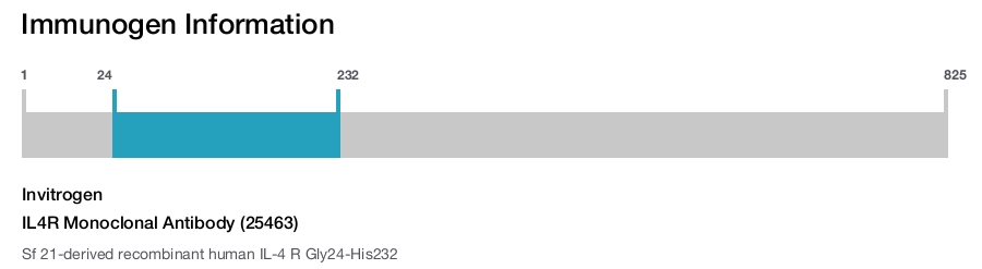IL4R Monoclonal Antibody (25463)