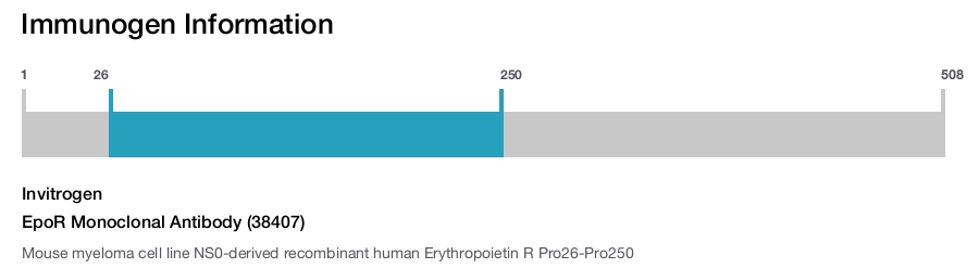 EpoR Monoclonal Antibody (38407)