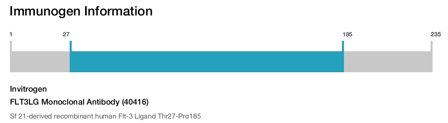 FLT3LG Monoclonal Antibody (40416)
