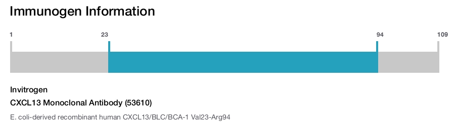 CXCL13 Monoclonal Antibody (53610)