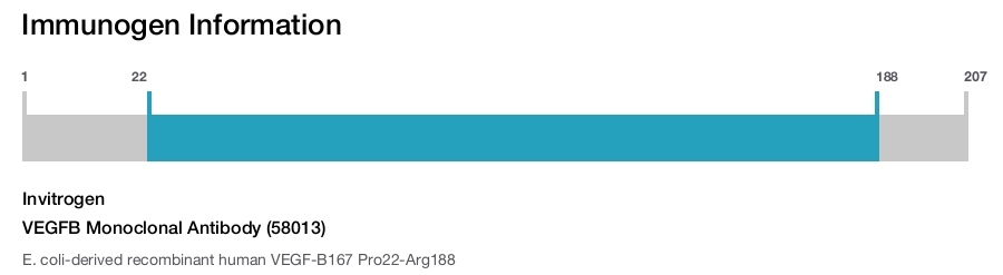 VEGFB Monoclonal Antibody (58013)