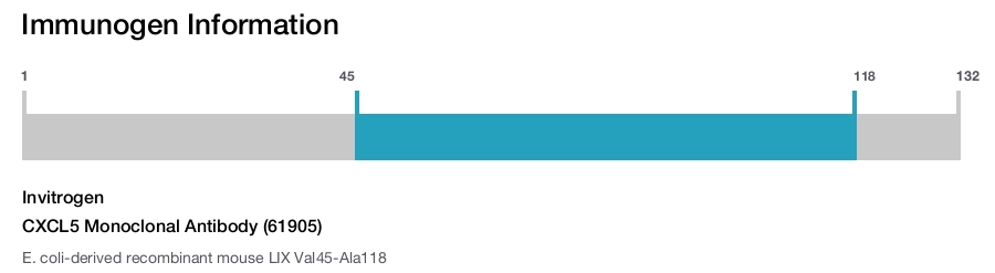 CXCL5 Monoclonal Antibody (61905)