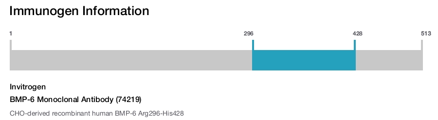 BMP-6 Monoclonal Antibody (74219)