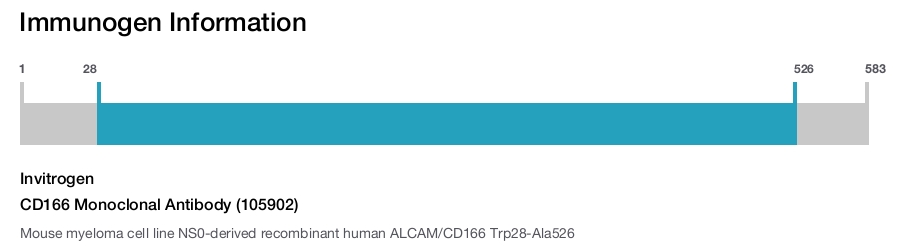 CD166 Monoclonal Antibody (105902)