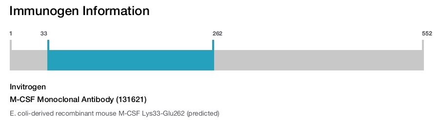 M-CSF Monoclonal Antibody (131621)