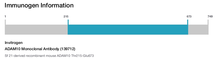 ADAM10 Monoclonal Antibody (139712)