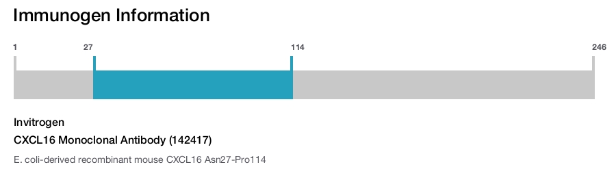 CXCL16 Monoclonal Antibody (142417)