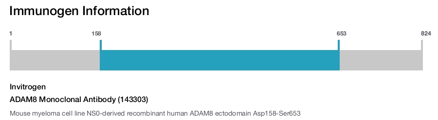 ADAM8 Monoclonal Antibody (143303)