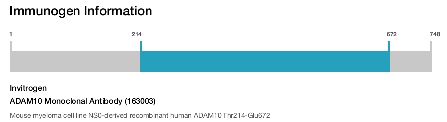 ADAM10 Monoclonal Antibody (163003)