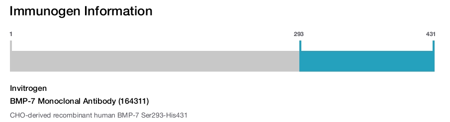 BMP-7 Monoclonal Antibody (164311)