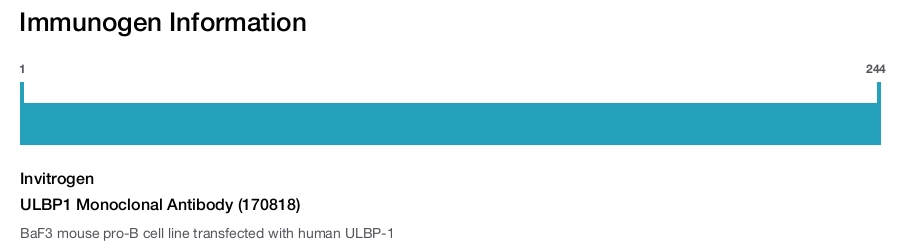 ULBP1 Monoclonal Antibody (170818)