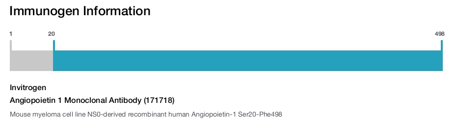 Angiopoietin 1 Monoclonal Antibody (171718)