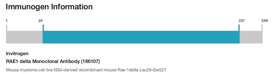 RAE1 delta Monoclonal Antibody (186107)