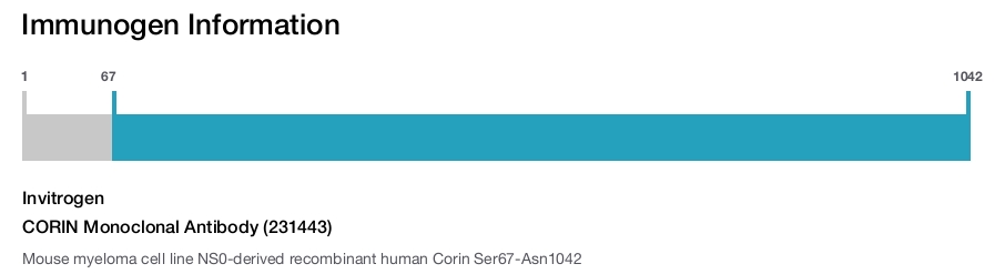 CORIN Monoclonal Antibody (231443)
