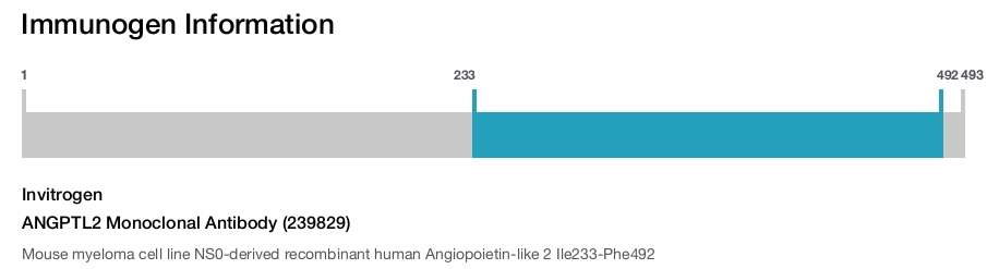 ANGPTL2 Monoclonal Antibody (239829)