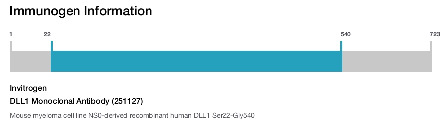 DLL1 Monoclonal Antibody (251127)