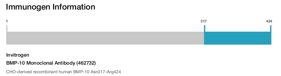 BMP-10 Monoclonal Antibody (462732)
