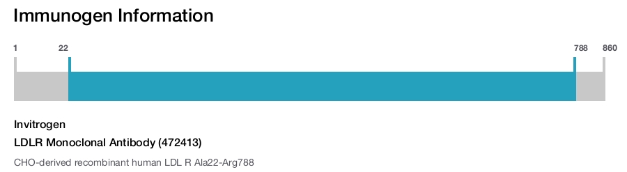 LDLR Monoclonal Antibody (472413)