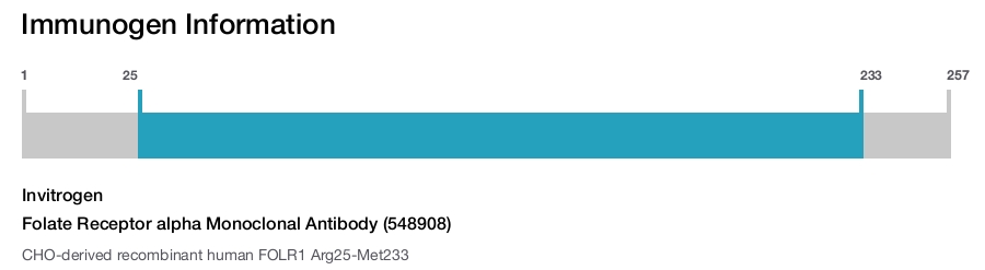 Folate Receptor alpha Monoclonal Antibody (548908)