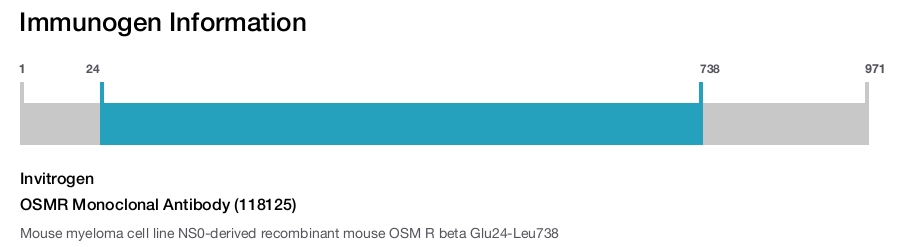 OSMR Monoclonal Antibody (118125)