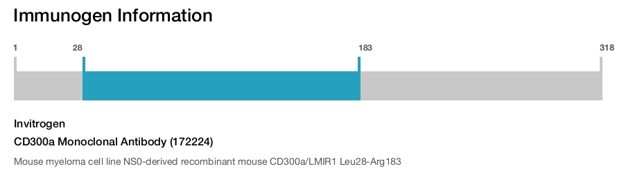 CD300a Monoclonal Antibody (172224)