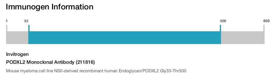 PODXL2 Monoclonal Antibody (211816)