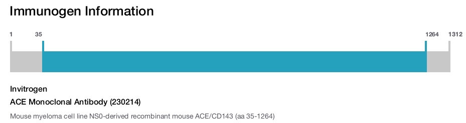 ACE Monoclonal Antibody (230214)