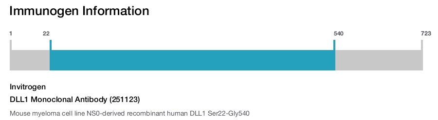DLL1 Monoclonal Antibody (251123)