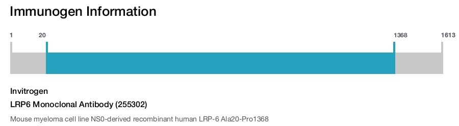 LRP6 Monoclonal Antibody (255302)