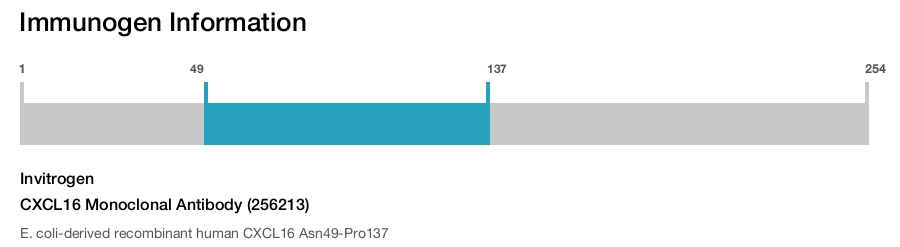 CXCL16 Monoclonal Antibody (256213)