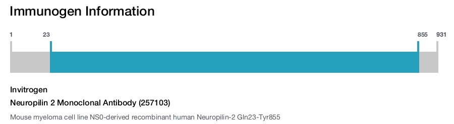 Neuropilin 2 Monoclonal Antibody (257103)