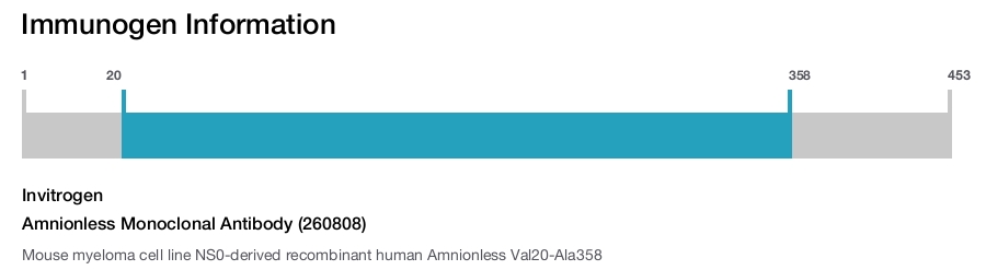 Amnionless Monoclonal Antibody (260808)