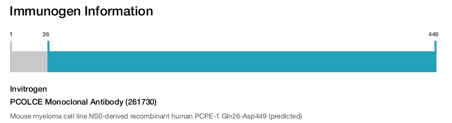PCOLCE Monoclonal Antibody (261730)