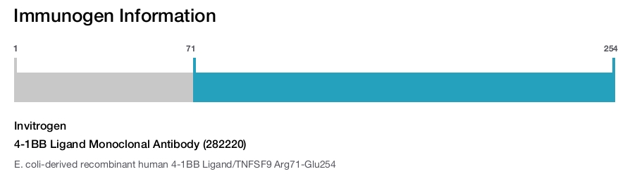 4-1BB Ligand Monoclonal Antibody (282220)