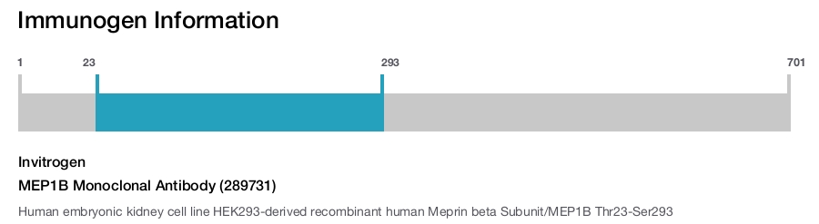 MEP1B Monoclonal Antibody (289731)