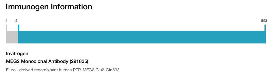 MEG2 Monoclonal Antibody (291835)