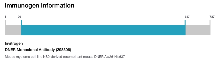 DNER Monoclonal Antibody (298306)