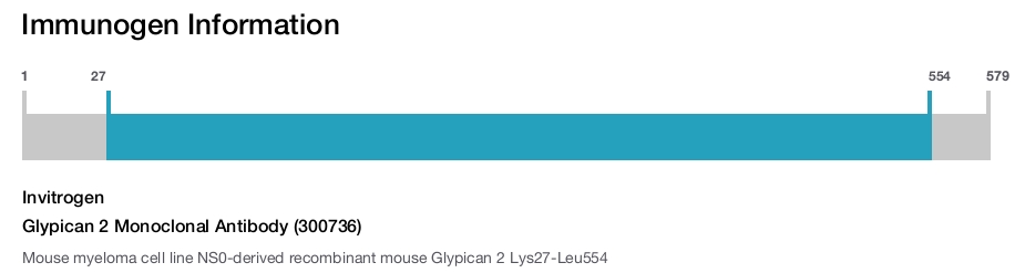 Glypican 2 Monoclonal Antibody (300736)