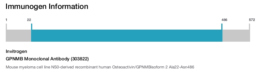 GPNMB Monoclonal Antibody (303822)
