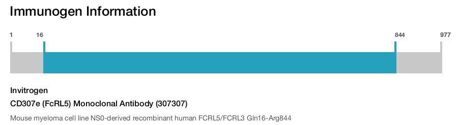 CD307e (FcRL5) Monoclonal Antibody (307307)