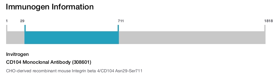 CD104 Monoclonal Antibody (308601)