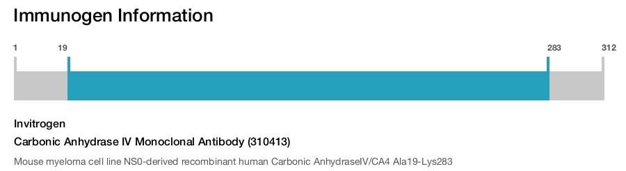 Carbonic Anhydrase IV Monoclonal Antibody (310413)
