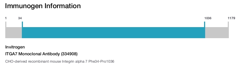 ITGA7 Monoclonal Antibody (334908)