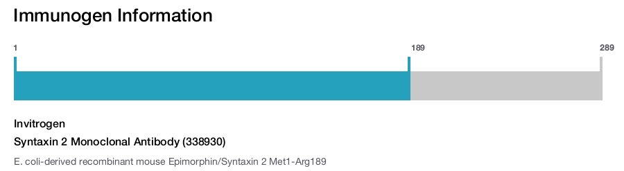 Syntaxin 2 Monoclonal Antibody (338930)