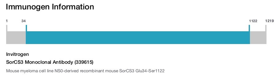SorCS3 Monoclonal Antibody (339615)