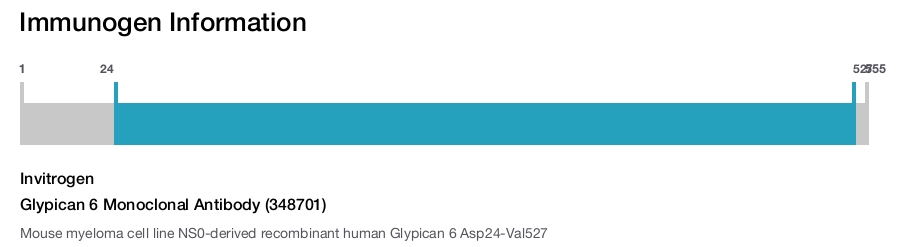 Glypican 6 Monoclonal Antibody (348701)