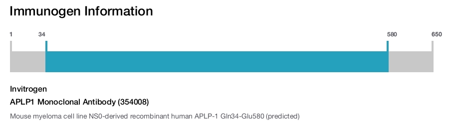APLP1 Monoclonal Antibody (354008)
