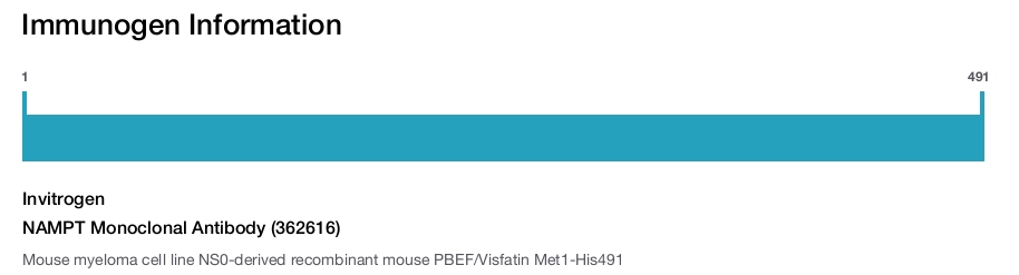NAMPT Monoclonal Antibody (362616)