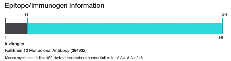 Kallikrein 12 Monoclonal Antibody (364932)